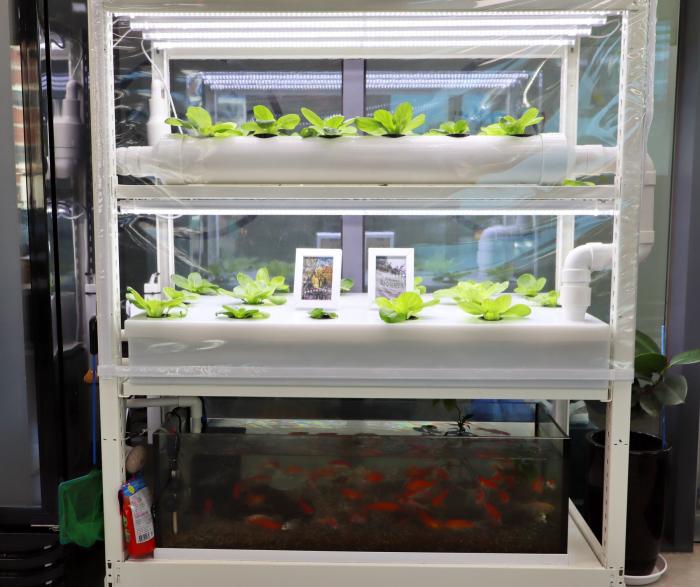 마음길이 개발한 아쿠아포닉스 제품 출처비즈인천