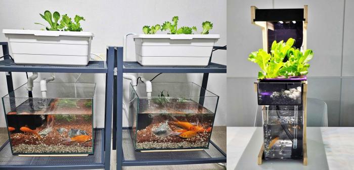 마음길이 개발한 아쿠아포닉스 제품 출처마음길