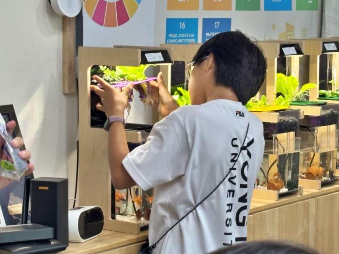 아쿠아포닉스 제품을 교육에 활용하는 모습 출처마음길