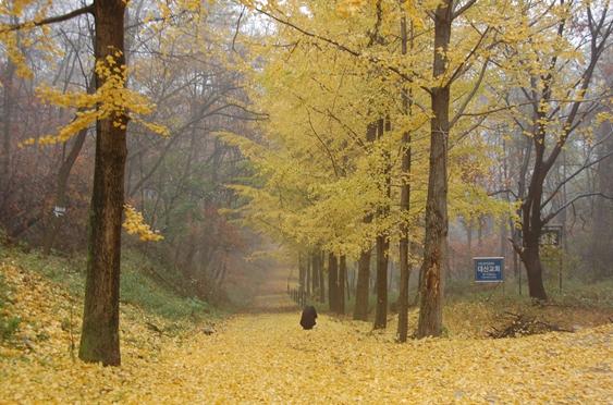인천시립박물관, 강화의 가을을 느낄 수 있는 도보답사 운영 기사 이미지