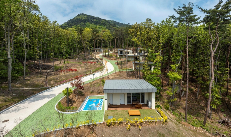 옹진군 덕적도 자연휴양림, 개장 7개월 만에 1만 3천 명 방문 기사 이미지