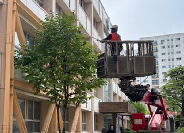 인천광역시교육청학교지원단,  261개교 수목관리 사업 완료…만족도 평균 97% 기사 이미지