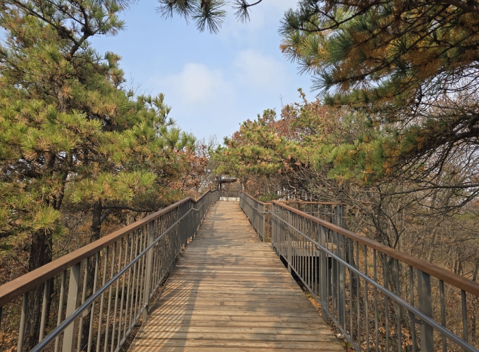 남동구, ‘2026년 달라지는 사항’ 발표...삶의 질 높이고 경제 활력 추진 기사 이미지