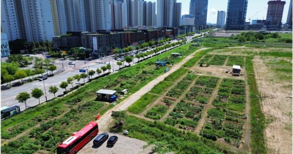 인천시, 2026년 도시농업사업 수행단체 공모 기사 이미지